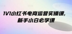 1V1小红书的电商运营实操课,新手入门必会课-中创网_分享创业项目_助您在家赚钱