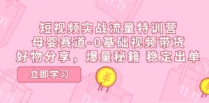 (11373期)短视频实战流量特训营,母婴赛道-0基础带货,好物分享,爆量秘籍 稳定出单-中创网_分享创业项目_助您在家赚钱