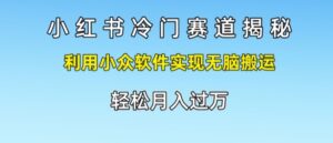 小红书的小众跑道揭密，运用小众软件完成没脑子运送，轻轻松松月入了万-中创网_分享创业项目_助您在家赚钱