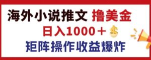 最新海外小说推文撸美金,日入1k+ 蓝海市场,矩阵放大收益爆炸-中创网_分享创业项目_助您在家赚钱