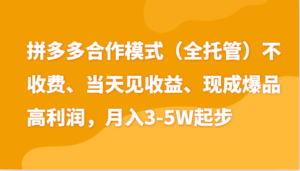 最新拼多多模式日入4K+两天销量过百单,无学费、老运营代操作、小白福利-中创网_分享创业项目_助您在家赚钱