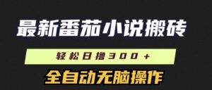 （11904期）最新番茄小说搬砖，日撸300＋！全自动操作，可矩阵放大-中创网_分享创业项目_助您在家赚钱