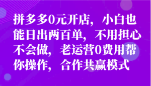 全新拼多多平台优质企业新手褔利,二天销售量过百单,不要钱、老经营代实际操作-中创网_分享创业项目_助您在家赚钱