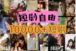 打造完全属于自己的个人短剧库,实现网盘拉新与私域变现的完美融合!-中创网_分享创业项目_助您在家赚钱