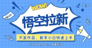 (12243期)悟空拉新最新玩法,无需作品暴力出单,小白快速上手-中创网_分享创业项目_助您在家赚钱