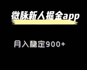全新微脉长期新项目,引流掘金队,月入平稳900-中创网_分享创业项目_助您在家赚钱