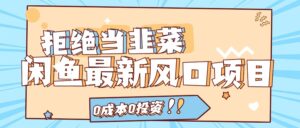 (11781期)回绝当韭菜!闲鱼平台全新蓝海项目,0费用0项目投资,当日开单,日入1000-中创网_分享创业项目_助您在家赚钱