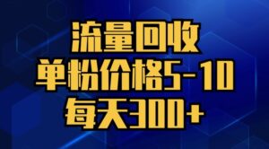 流量回收,单粉价格5-10,每天300+,轻松月入五位数-中创网_分享创业项目_助您在家赚钱