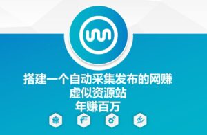 搭建一个自动采集发布的网创虚似资源站年赚百W【揭秘】-中创网_分享创业项目_助您在家赚钱