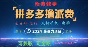 拼多多撸派费，2024最暴利的项目。软件全自动运行，日下1000单。每天利润500+，免费-中创网_分享创业项目_助您在家赚钱