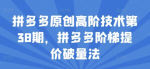 拼多多平台原创设计高级技术性第38期,拼多多平台台阶涨价破量法-中创网_分享创业项目_助您在家赚钱