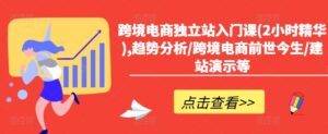 跨境电商独立站入门课(2小时精华),趋势分析/跨境电商前世今生/建站演示等-中创网_分享创业项目_助您在家赚钱