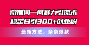 (11486期)手机微信问一问暴力行为引流术,平稳日引300 自主创业粉,全新方式,一条条爆品-中创网_分享创业项目_助您在家赚钱