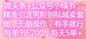 头条 微信公众号小绿书,精准引流方法粉丝到公域卖套图,没脑子实际操作,有手就行,每一单99-200,每日5单-中创网_分享创业项目_助您在家赚钱