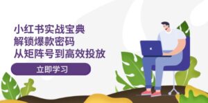 (12201期)小红书实战宝典:解锁爆款密码,从矩阵号到高效投放-中创网_分享创业项目_助您在家赚钱