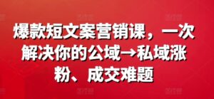 爆款短文案营销课,一次解决你的公域→私域涨粉、成交难题-中创网_分享创业项目_助您在家赚钱