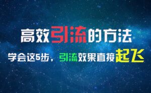 (11776期)高效率引流的方法,能够帮助你日引300 自主创业粉,一年轻轻松松收益30万,比工作强-中创网_分享创业项目_助您在家赚钱