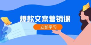 爆款文案营销课：公域转私域，涨粉成交一网打尽，各行业人士必备-中创网_分享创业项目_助您在家赚钱