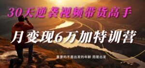 30天逆袭视频带货高手,单月变现6万加特训营-麦子甜-中创网_分享创业项目_助您在家赚钱