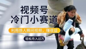 利用感人瞬间视频，赚视频号分成计划收益，操作简单，新手小白轻松上手-中创网_分享创业项目_助您在家赚钱