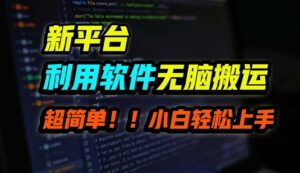 (12203期)B站平台用软件无脑搬运,月赚10000+,小白也能轻松上手-中创网_分享创业项目_助您在家赚钱