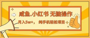 (11524期)2024最赚钱的项目,咸鱼,小红书无脑操作,每单利润500+,轻松月入5万+…-中创网_分享创业项目_助您在家赚钱