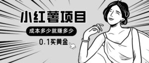 (11504期)小红书暴力行为新项目,0.1买黄金首饰。使用方便,日入无限制,可无限扩大。-中创网_分享创业项目_助您在家赚钱