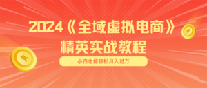 （11484期）月入五位数 干就完了 适合白的全域虚似电商项目（无水印教程 交货指南）-中创网_分享创业项目_助您在家赚钱