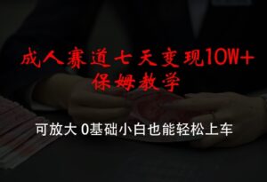 成人赛道七天变现10W+保姆教学，可放大，0基础小白也能轻松上车【揭秘】-中创网_分享创业项目_助您在家赚钱