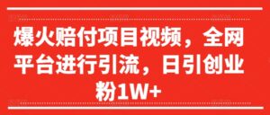爆火赔付项目视频,全网平台进行引流,日引创业粉1W+【揭秘】-中创网_分享创业项目_助您在家赚钱