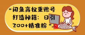 闲鱼高权重账号打造秘籍：日引200+精准流量，轻松变现实战指南-中创网_分享创业项目_助您在家赚钱