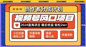 （12084期）微信视频号大风口项目 轻松月入2w+ 多赛道选择，可矩阵，玩法简单轻松上手-中创网_分享创业项目_助您在家赚钱