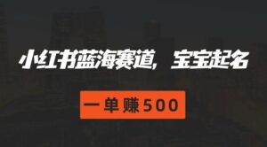 小红书的瀚海跑道,宝宝取名,一单赚500-中创网_分享创业项目_助您在家赚钱