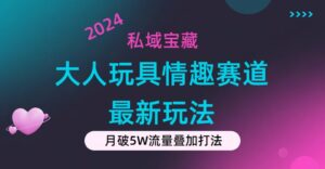 (11541期)公域宝箱:大人玩具乐趣跑道合规管理新模式,零资金投入,公域极高总流量成单率高-中创网_分享创业项目_助您在家赚钱