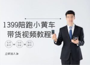 1399陪跑tiktok小黄车带货视频教程，tiktok跨境电商教程-中创网_分享创业项目_助您在家赚钱