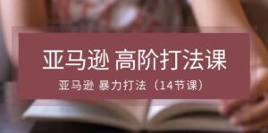 亚马逊高阶打法课,亚马逊暴力打法(14节视频课)-中创网_分享创业项目_助您在家赚钱