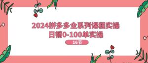2024拼多多平台全主题课程实际操作,日销0-100单实际操作【16堂课】-中创网_分享创业项目_助您在家赚钱