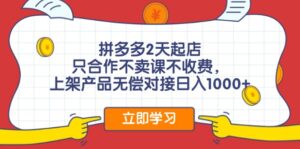 （12356期）拼多多0成本开店，只合作不卖课不收费，0成本尝试，日赚千元+-中创网_分享创业项目_助您在家赚钱