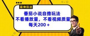 番茄小说自撸游戏玩法,不要看播放率,不要看视频清晰度,每日200 【揭密】-中创网_分享创业项目_助您在家赚钱