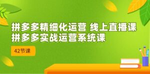 拼多多精细化运营 线上直播课:拼多多实战运营系统课(更新47节)-中创网_分享创业项目_助您在家赚钱