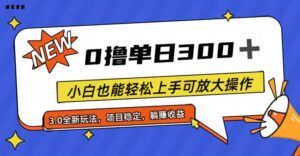 （11490期）全过程0撸，单日300 ，新手也可以快速上手可变大实际操作-中创网_分享创业项目_助您在家赚钱