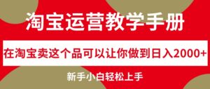 (12351期)淘宝运营教学手册,在淘宝卖这个品可以让你做到日入2000+,新手小白轻…-中创网_分享创业项目_助您在家赚钱