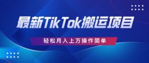 史上最牛简易,运送TikTok厉史,去重复后轻轻松松月赚万余元-中创网_分享创业项目_助您在家赚钱