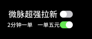 (11580期)微脉超强拉新, 两分钟1单, 一单利润5块,适合小白-中创网_分享创业项目_助您在家赚钱