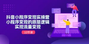 抖音小程序变实际操营,小程序变现的底层思维,完成数据流量变现(10堂课)-中创网_分享创业项目_助您在家赚钱