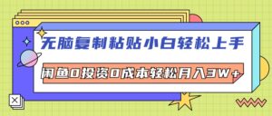(12258期)无脑复制粘贴,小白轻松上手,电商0投资0成本轻松月入3W+-中创网_分享创业项目_助您在家赚钱