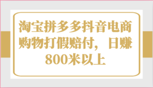 淘宝拼多多抖音电商购物打假赔付，日赚800米以上-中创网_分享创业项目_助您在家赚钱