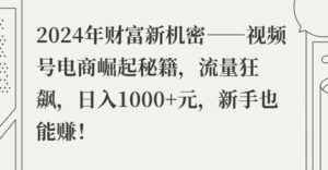 2024年财富新机密——视频号电商崛起秘籍,流量狂飙,日入1k元,新手也能赚-中创网_分享创业项目_助您在家赚钱