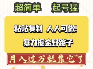 （12298期）头条号暴力掘金野路子玩法，人人可做！100%原创爆文-中创网_分享创业项目_助您在家赚钱