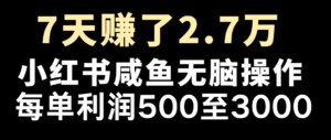七天赚了2.7万！每单利润最少500+，轻松月入5万+小白有手就行-中创网_分享创业项目_助您在家赚钱